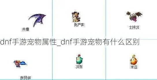 dnf手游新宠物属性-dnf新宠物属性解析